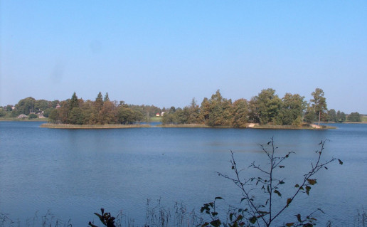 19_Berzoro ez. sala. Nuotr. is ZNPD archyvo.jpg